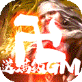 新三国魂（上线满级GM）
