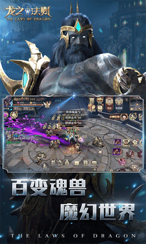 龙之法则截图4