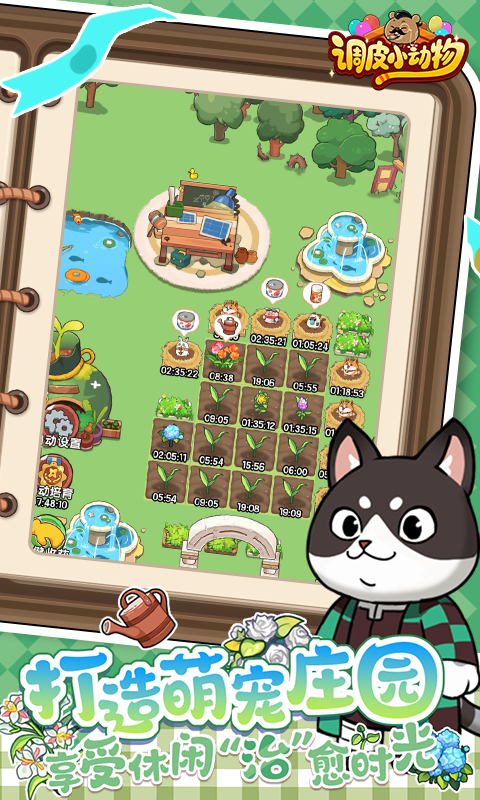 调皮小动物（0.1折）