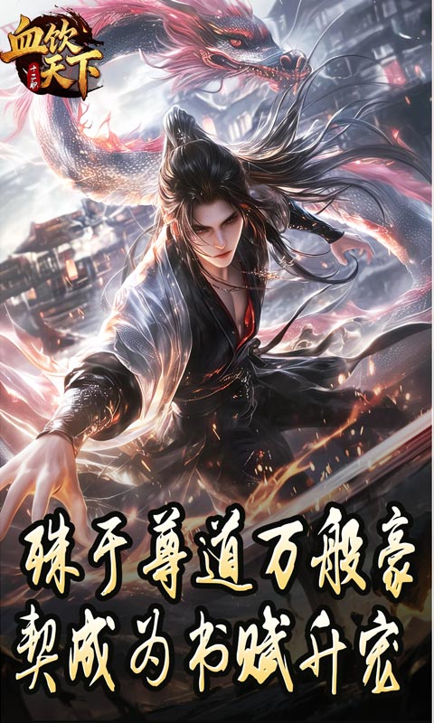 血饮天下（宠宠打宝十二职业）